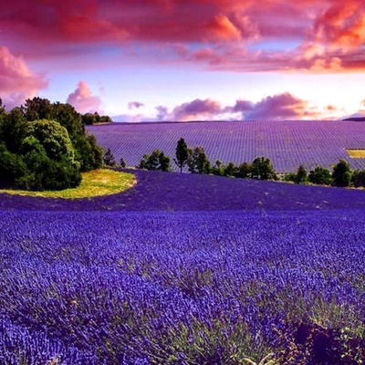 Timeline: Biografia de Natalia