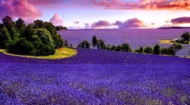 Timeline: Biografia de Natalia