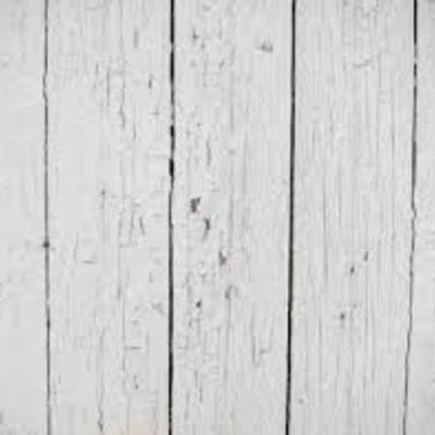 Timeline: Things I Enjoyed In History