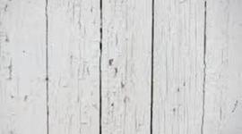 Timeline: Things I Enjoyed In History