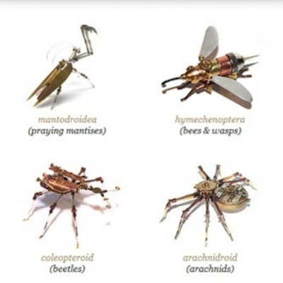 Timeline: Evolución Insectos