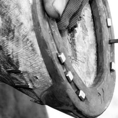 Timeline: La historia de la herrería en caballos