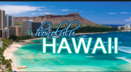 Timeline: Callie's Timeline