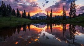 Timeline: Derechos de Mujeres