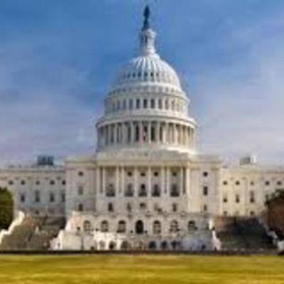 Timeline: My Government: The Cole Democracy