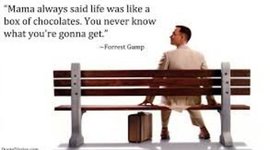 Timeline: Mike Ni  01FGpt1