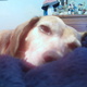 Picture 001