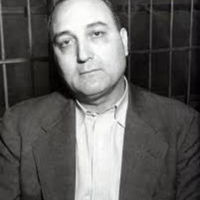 Timeline: Omogrosso Timeline