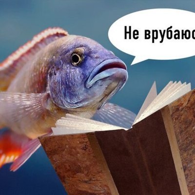 Timeline: Когда делаешь задание