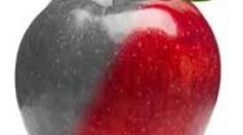 Timeline: Jonathan Billue Giver timeline