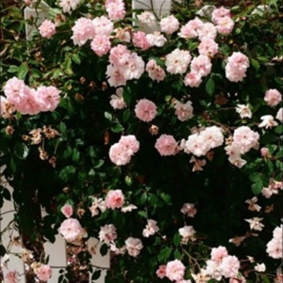 Timeline: A timeline of the top hits of 2012