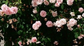 Timeline: A timeline of the top hits of 2012