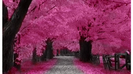 Timeline: Important events XX & XXI