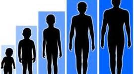 Timeline: Typical Student Behaviors from the Ages of 5-18.