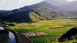 Timeline: el computador y su historia