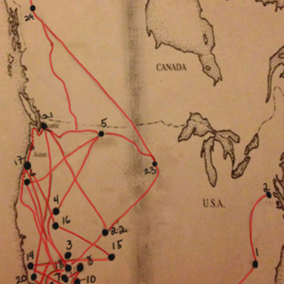 Timeline: Into The Wild Project