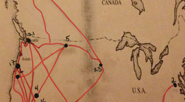 Timeline: Into The Wild Project