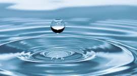 Timeline: El informe de Nestlé