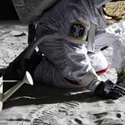 Timeline: Problematica ambiental