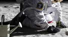 Timeline: Problematica ambiental