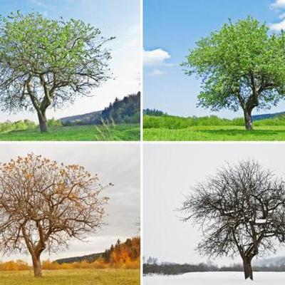 Timeline: Estacions de l'any