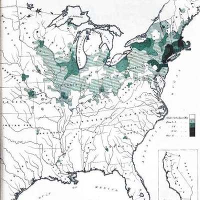 Timeline: Irish Immigration After the Potato Famine