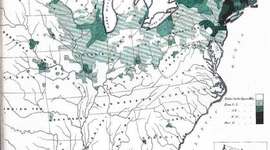 Timeline: Irish Immigration After the Potato Famine