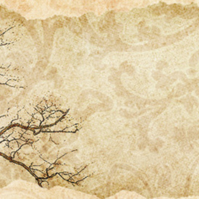 Timeline: Chronologie des droits autochtones au Canada