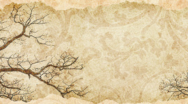 Timeline: Chronologie des droits autochtones au Canada