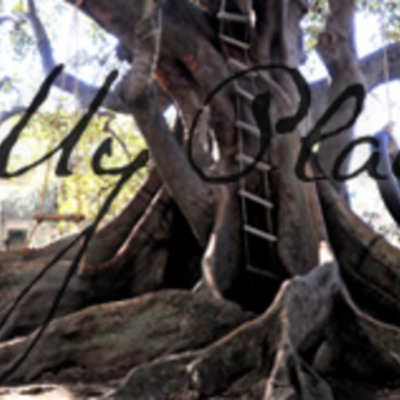 Timeline: My place timeline