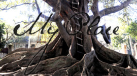 Timeline: My place timeline