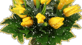 Timeline: Праздники