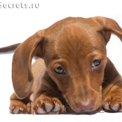 Timeline: Мероприятия на 2015/2016 учебный год