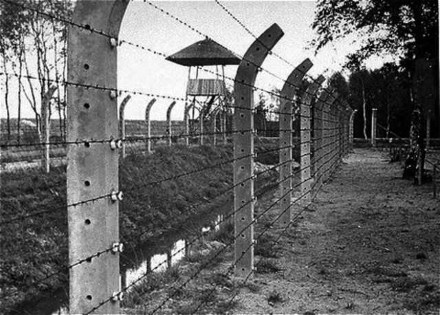 Timeline from 1914 to 1945 Timetoast timelines