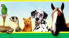 Timeline: Historia de la Medicina Veterinaria