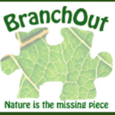 Timeline: BranchOut Media and Outreach Timeline