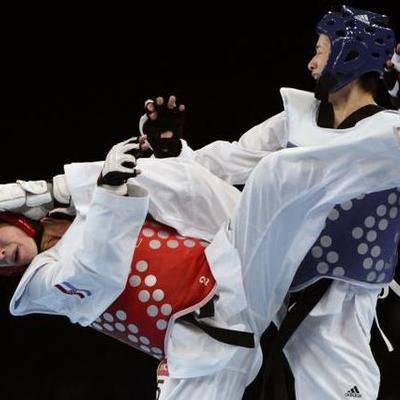 Timeline: Taekwondo Timelines's