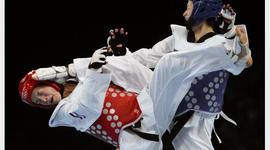 Timeline: Taekwondo Timelines's