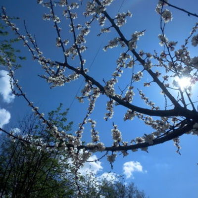 Timeline: Великая Русь