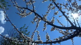 Timeline: Великая Русь