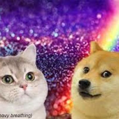 Timeline: Top 10 most important events in history