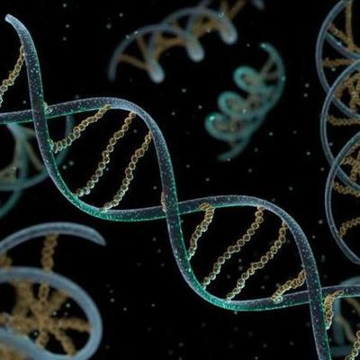 Timeline: HISTORIA DEL ADN