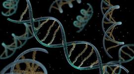 Timeline: HISTORIA DEL ADN