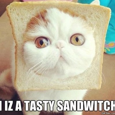 Timeline: Awesome Girl Timeline for History