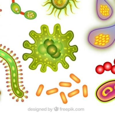 Timeline: Historia de la Microbiología