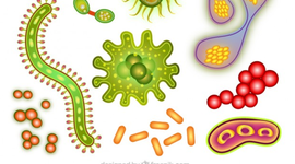 Timeline: Historia de la Microbiología