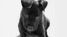 Timeline: Jovanni's timeline