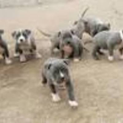 Timeline: Tony's Timeline