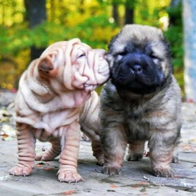 Timeline: Abraham's timeline