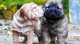 Timeline: Abraham's timeline